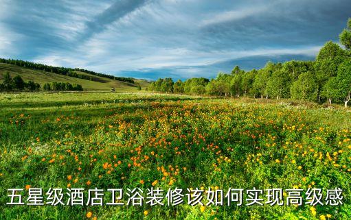 五星級(jí)酒店衛(wèi)浴裝修該如何實(shí)現(xiàn)高級(jí)感