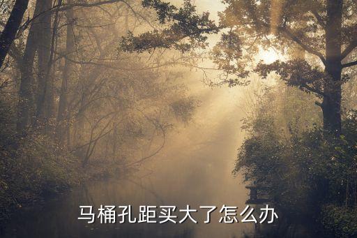 馬桶孔距買大了怎么辦
