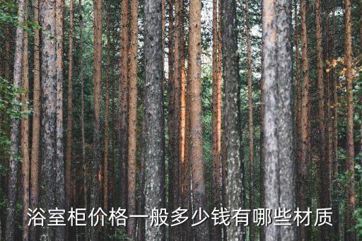 浴室柜價格一般多少錢有哪些材質(zhì)