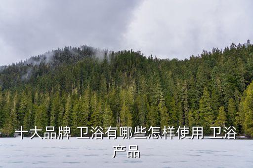 衛(wèi)浴品牌小程序有哪些,集合商場小程序的品牌有哪些