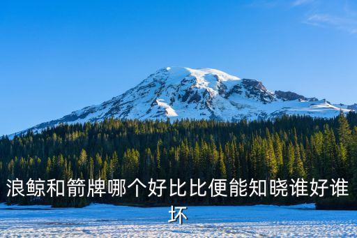浪鯨衛(wèi)浴營業(yè)執(zhí)照圖片大全