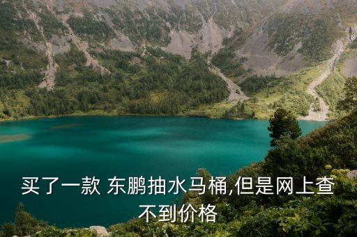 買了一款 東鵬抽水馬桶,但是網(wǎng)上查不到價(jià)格