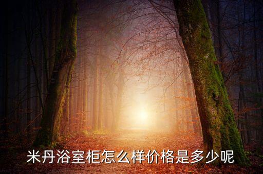 衛(wèi)浴柜陶瓷簡(jiǎn)約圖片高清