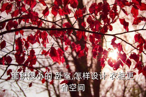 面積很小的 臥室,怎樣設(shè)計 衣柜更省空間