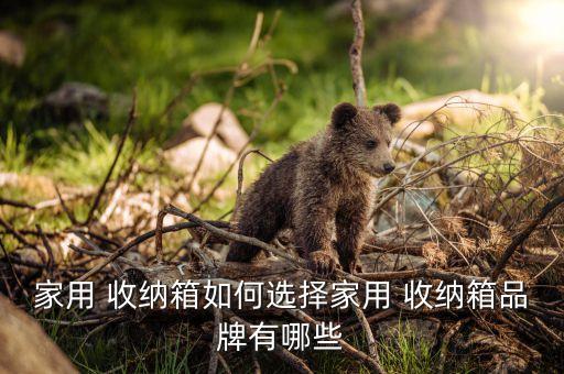 家用 收納箱如何選擇家用 收納箱品牌有哪些