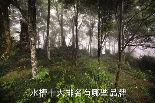 衛(wèi)浴水槽品牌推薦,石英石水槽的品牌推薦