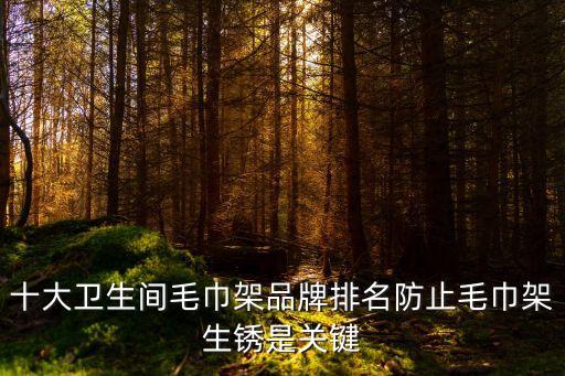 十大衛(wèi)生間毛巾架品牌排名防止毛巾架生銹是關(guān)鍵