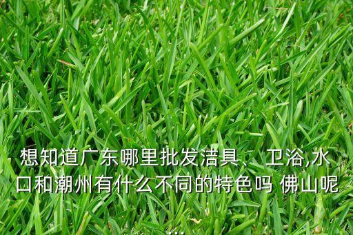想知道廣東哪里批發(fā)潔具、 衛(wèi)浴,水口和潮州有什么不同的特色嗎 佛山呢...
