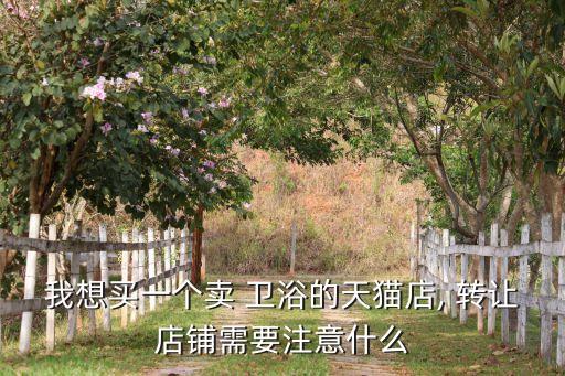 我想買一個賣 衛(wèi)浴的天貓店, 轉(zhuǎn)讓店鋪需要注意什么