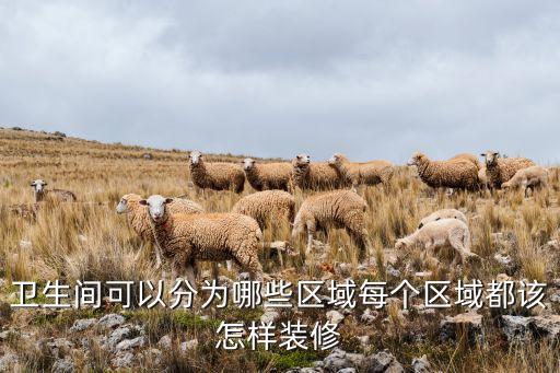 衛(wèi)生間可以分為哪些區(qū)域每個(gè)區(qū)域都該怎樣裝修