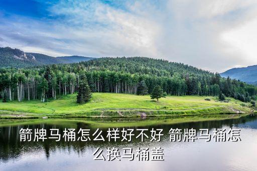 箭牌衛(wèi)浴安裝完成圖片高清