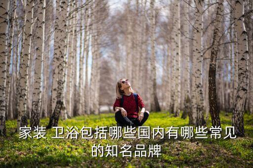  家裝 衛(wèi)浴包括哪些國(guó)內(nèi)有哪些常見的知名品牌