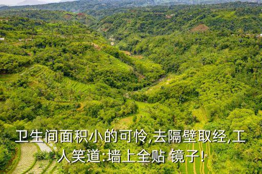 衛(wèi)生間面積小的可憐,去隔壁取經(jīng),工人笑道:墻上全貼 鏡子!