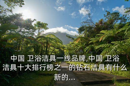 中國 衛(wèi)浴潔具一線品牌,中國 衛(wèi)浴潔具十大排行榜之一的鉆石潔具有什么新的...