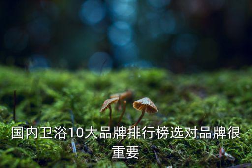 國內(nèi)衛(wèi)浴10大品牌排行榜選對品牌很重要