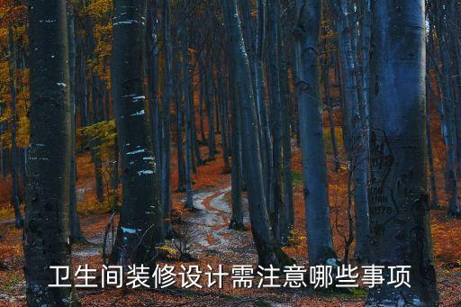 澳洲衛(wèi)浴改造方案圖紙圖片