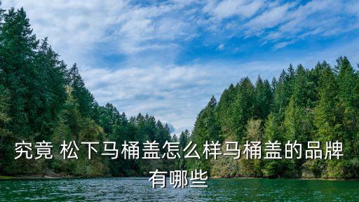 究竟 松下馬桶蓋怎么樣馬桶蓋的品牌有哪些