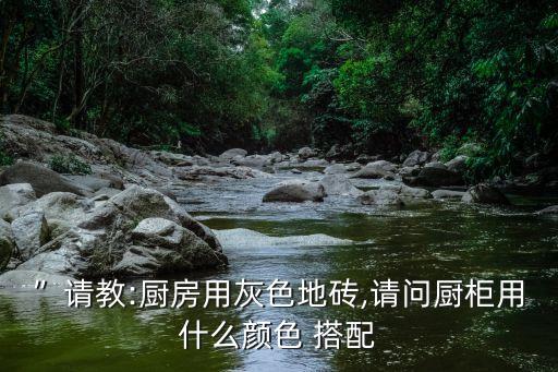 ”請教:廚房用灰色地磚,請問廚柜用什么顏色 搭配