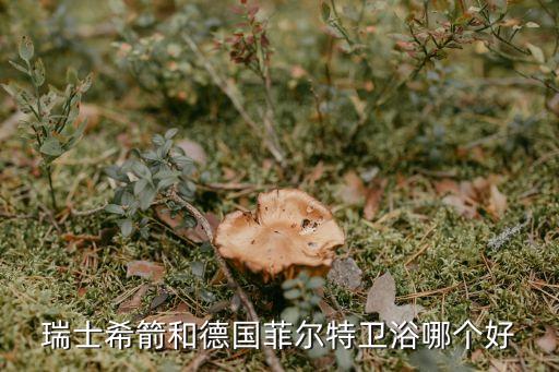 瑞士希箭和德國(guó)菲爾特衛(wèi)浴哪個(gè)好