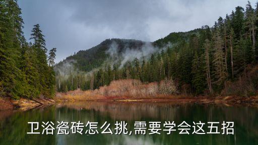  衛(wèi)浴瓷磚怎么挑,需要學(xué)會(huì)這五招