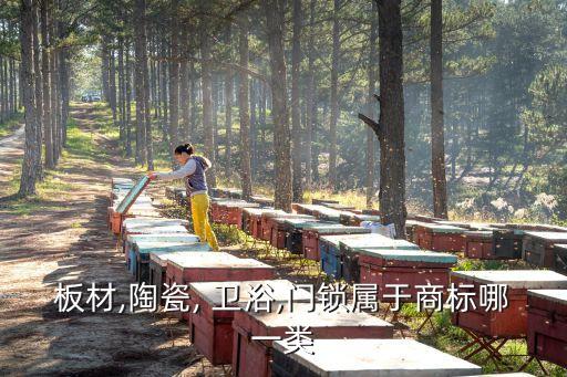 板材,陶瓷, 衛(wèi)浴,門鎖屬于商標(biāo)哪一類