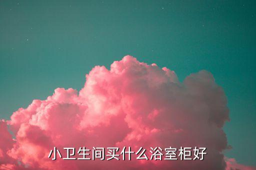 小衛(wèi)生間買什么浴室柜好