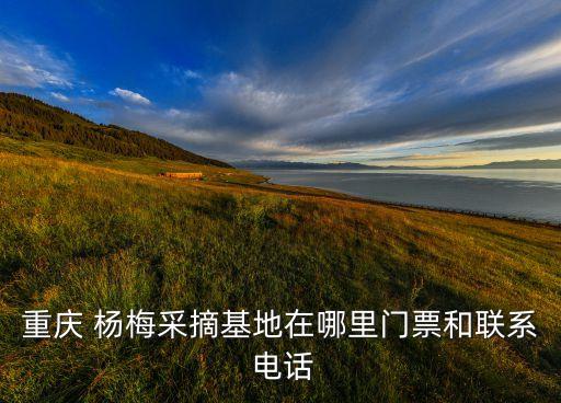 重慶 楊梅采摘基地在哪里門票和聯(lián)系 電話