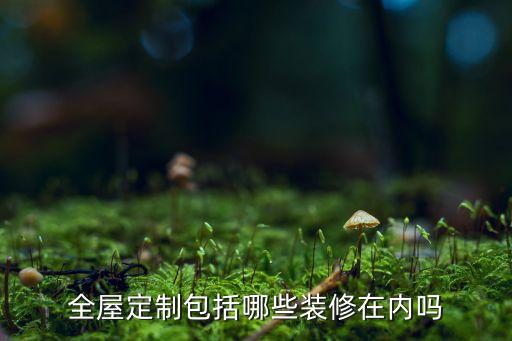 全屋定制包括哪些裝修在內(nèi)嗎