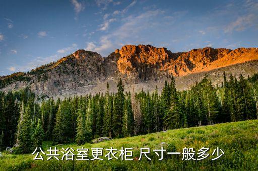 公共浴室更衣柜 尺寸一般多少