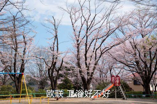 歐聯(lián) 衛(wèi)浴好不好