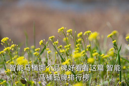 智能衛(wèi)浴需求量表圖片高清