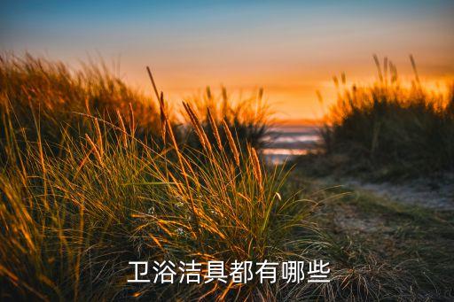  衛(wèi)浴潔具都有哪些