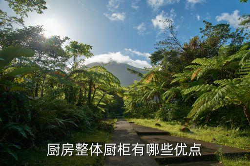 廚房整體廚柜有哪些優(yōu)點(diǎn)