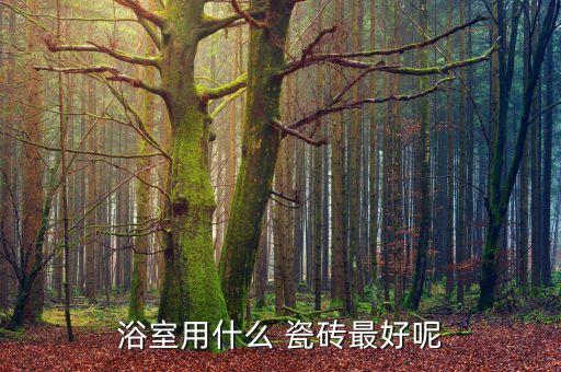浴室用什么 瓷磚最好呢