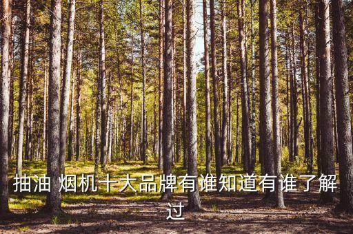 抽油 煙機(jī)十大品牌有誰知道有誰了解過
