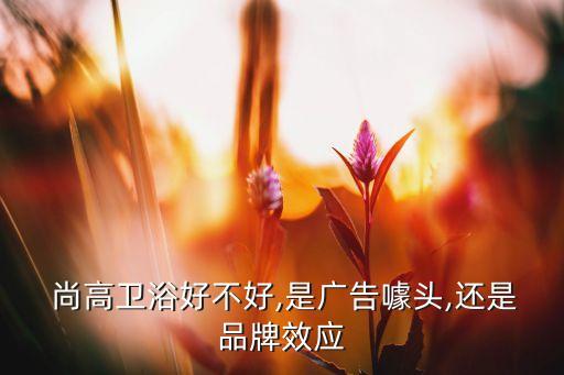  尚高衛(wèi)浴好不好,是廣告噱頭,還是品牌效應