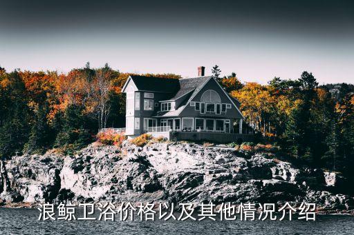 浪鯨衛(wèi)浴價格以及其他情況介紹