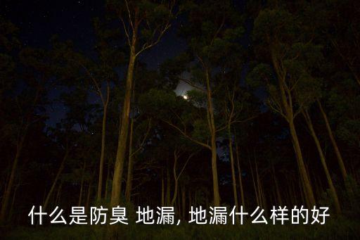 衛(wèi)浴隔斷地漏效果圖片高清