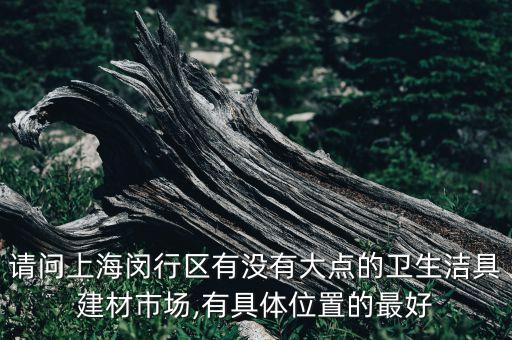 請問上海閔行區(qū)有沒有大點(diǎn)的衛(wèi)生潔具建材市場,有具體位置的最好