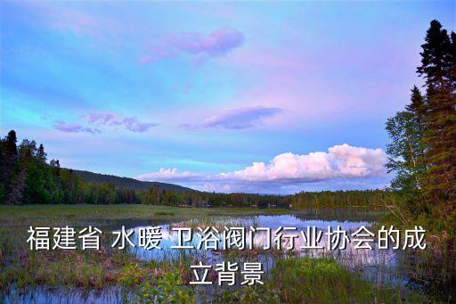 福建省 水暖 衛(wèi)浴閥門行業(yè)協(xié)會(huì)的成立背景