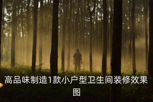 高品味制造1款小戶型衛(wèi)生間裝修效果圖
