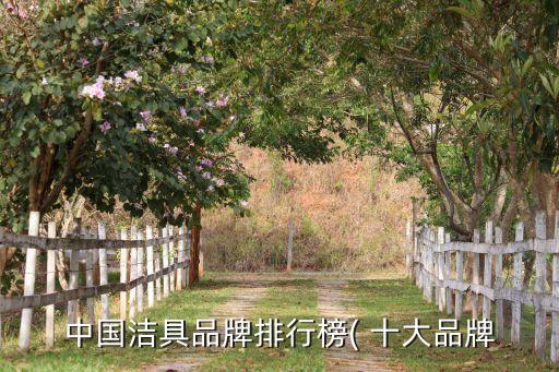 中國(guó)潔具品牌排行榜( 十大品牌