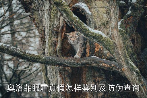 奧洛菲衛(wèi)浴電話