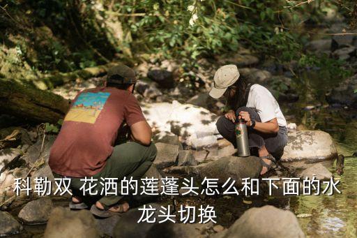科勒雙 花灑的蓮蓬頭怎么和下面的水龍頭切換
