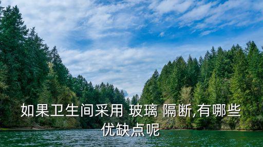 衛(wèi)浴玻璃隔斷門簾裝飾圖片