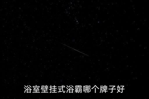 浴室壁掛式浴霸哪個(gè)牌子好