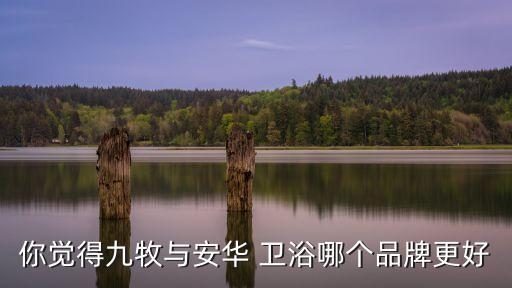 你覺得九牧與安華 衛(wèi)浴哪個品牌更好