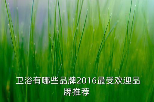  衛(wèi)浴有哪些品牌2016最受歡迎品牌推薦