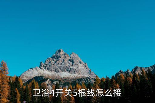 衛(wèi)浴4開關(guān)5根線怎么接