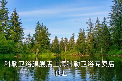 科勒衛(wèi)浴旗艦店上海科勒衛(wèi)浴專賣店 地址